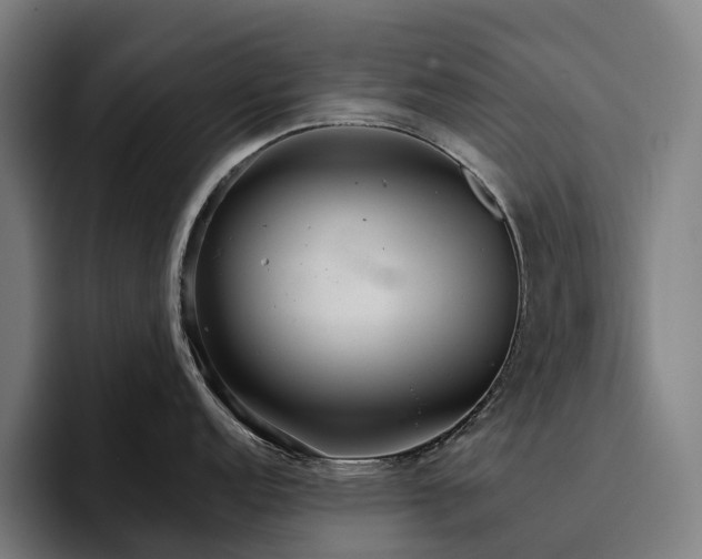 X0000094811152200711161502
