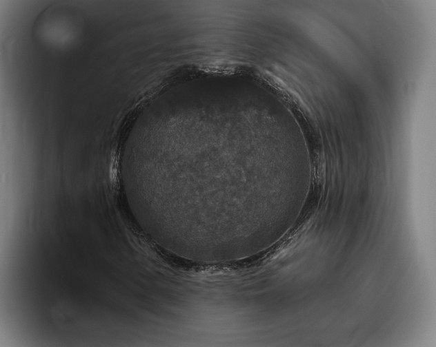 X0000094811154200711161502