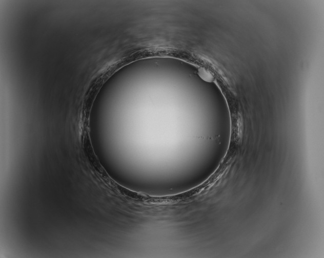 X0000094811157200711161501