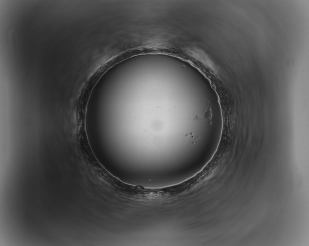X0000094811160200711161501