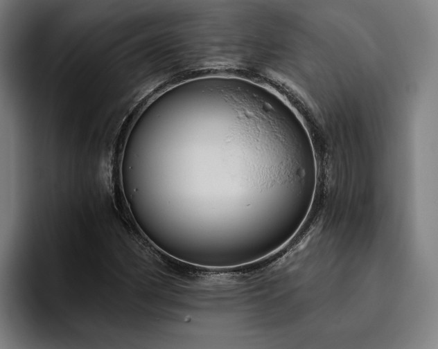 X0000094811162200711161501