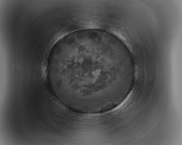X0000094811163200711161501