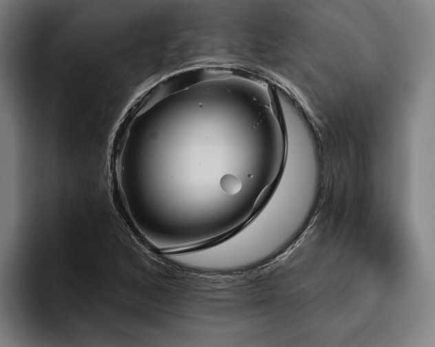 X0000094811168200711161501