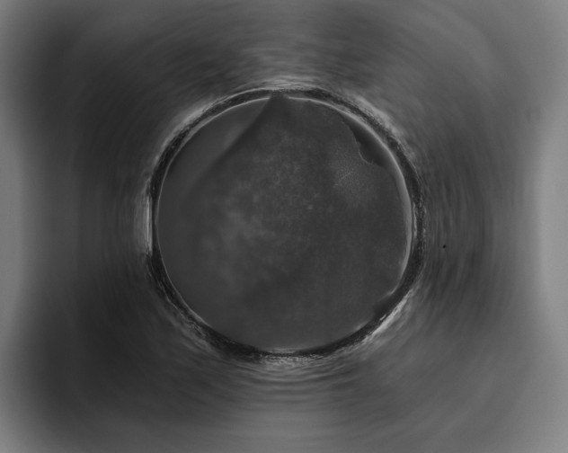 X0000094811171200711161501
