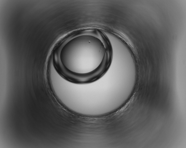 X0000094811172200711161501