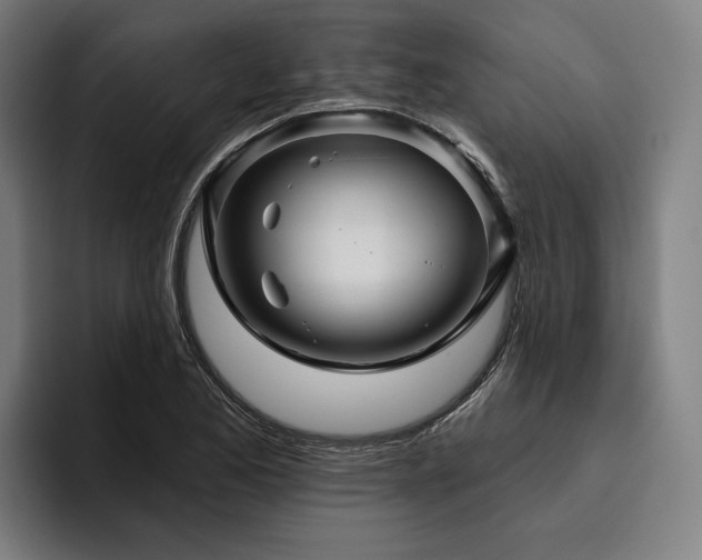 X0000094811173200711161501
