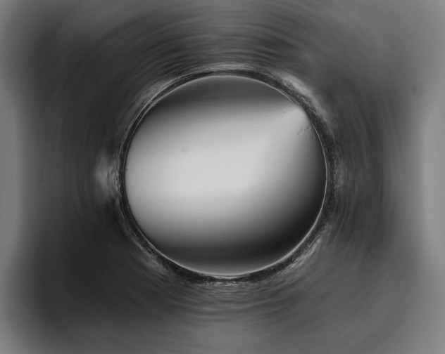 X0000094811177200711161501