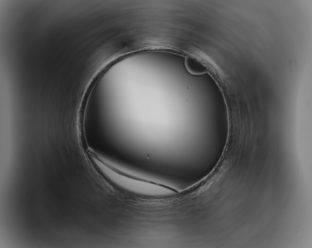 X0000094811182200711161501