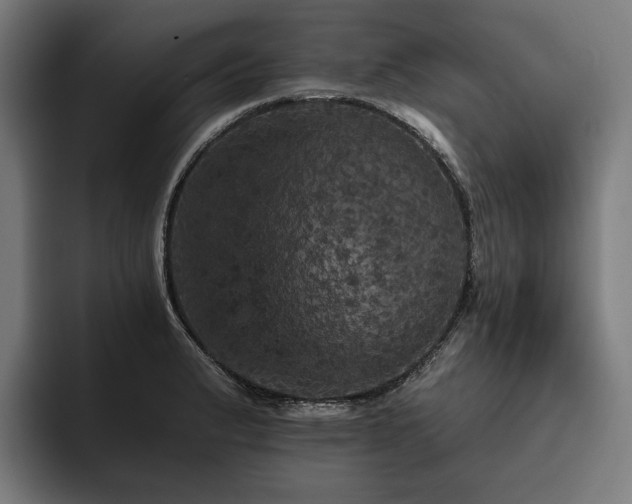 X0000094811183200711161501