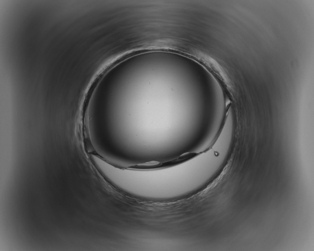 X0000094811184200711161501