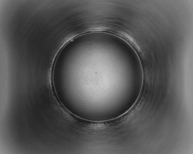 X0000094811186200711161501