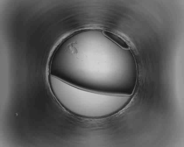 X0000094811188200711161501