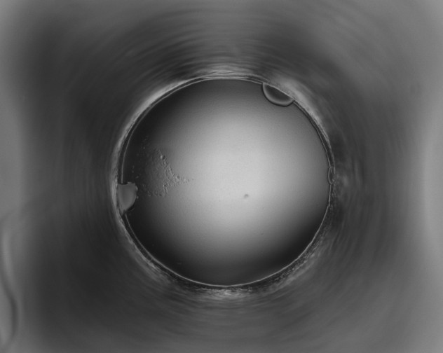 X0000094811195200711161501