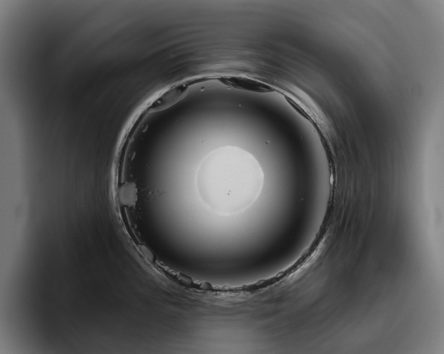 X0000094811196200711161501