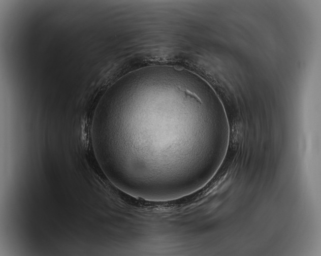 X0000094811202200711161500