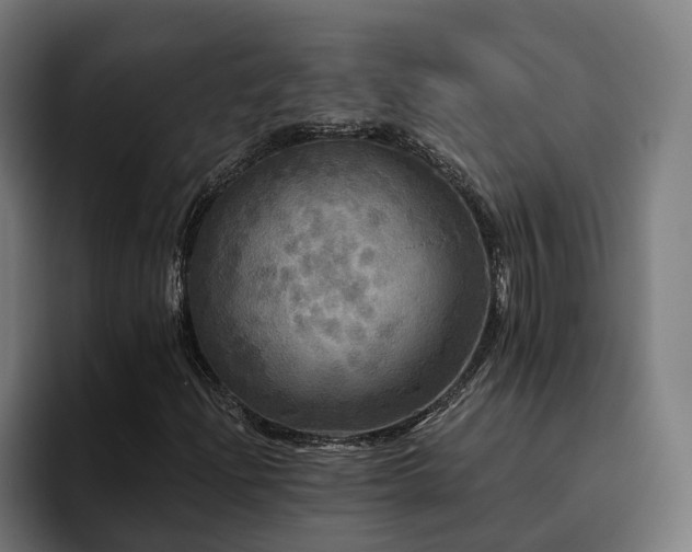 X0000094811204200711161500