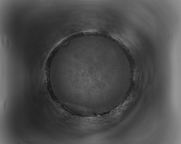 X0000094811208200711161500
