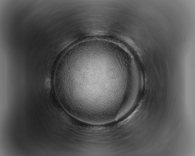 X0000094811209200711161500