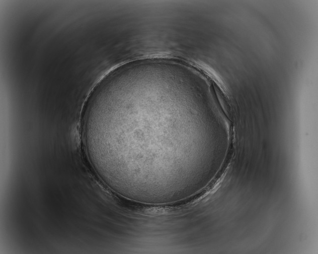X0000094811212200711161500