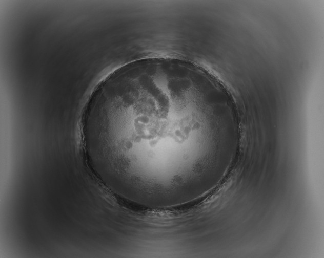 X0000094811215200711161500