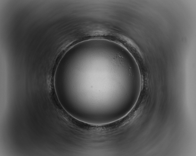 X0000094811217200711161500