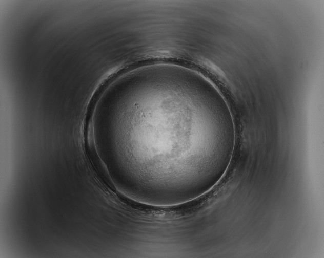 X0000094811218200711161500
