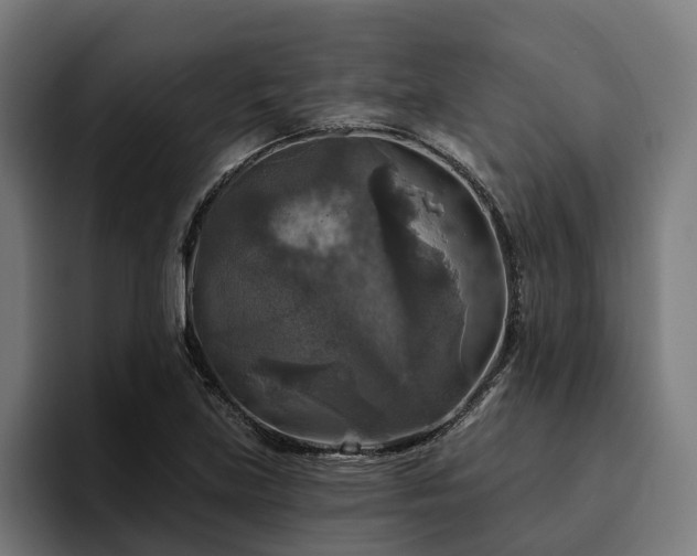 X0000094811219200711161501