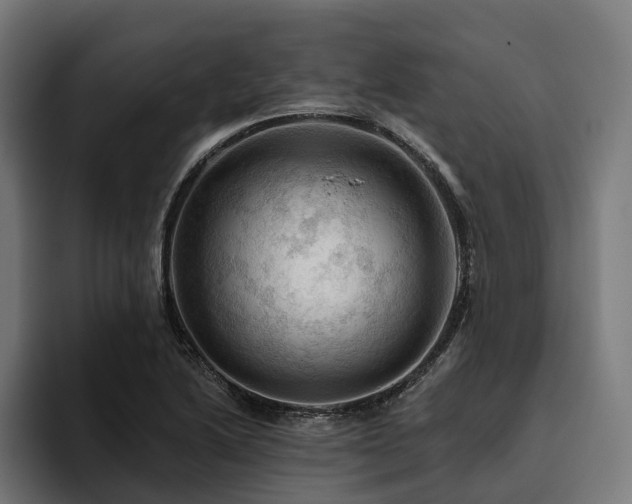 X0000094811222200711161501