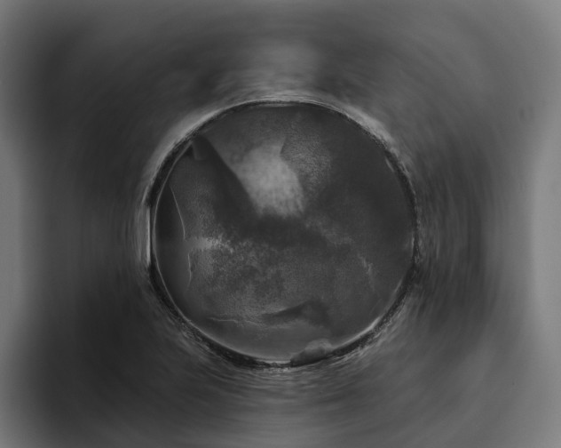 X0000094811223200711161501