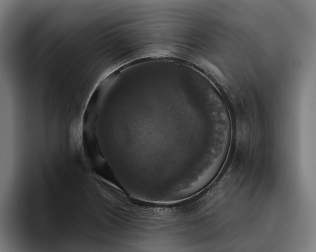 X0000094811226200711161501
