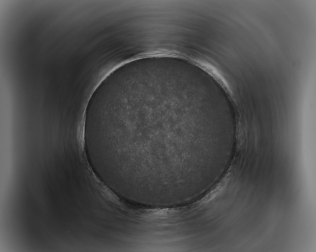 X0000094811228200711161501