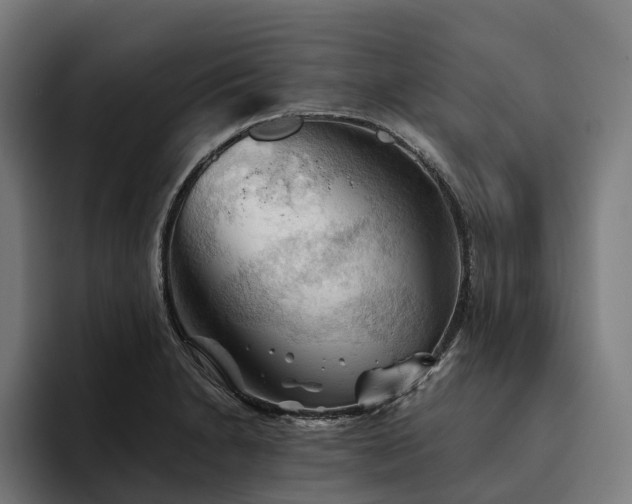 X0000094811230200711161501
