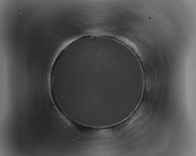 X0000094811231200711161501