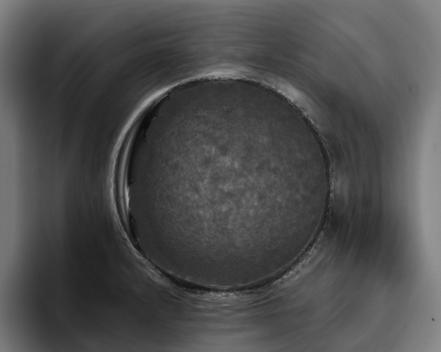 X0000094811232200711161501
