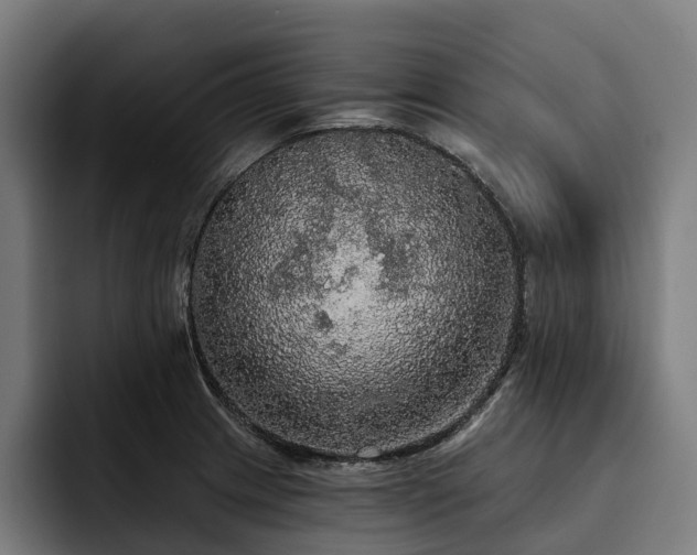 X0000094811233200711161501