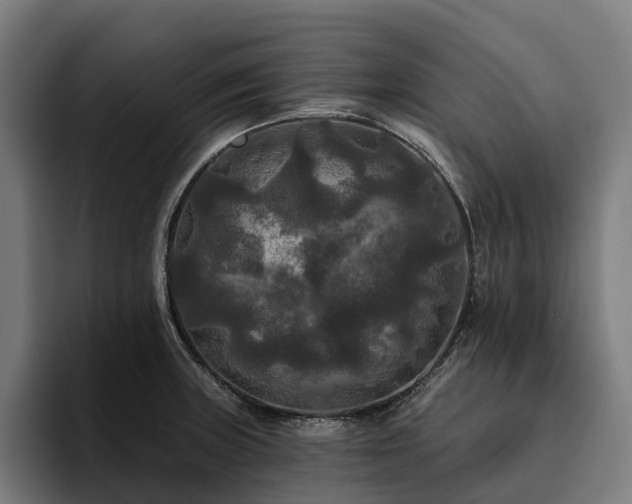 X0000094811235200711161501