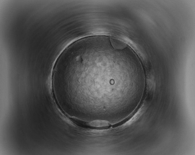 X0000094811236200711161501
