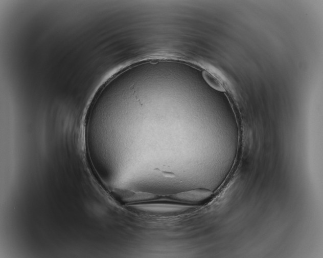 X0000094811238200711161501