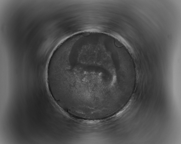 X0000094811240200711161501