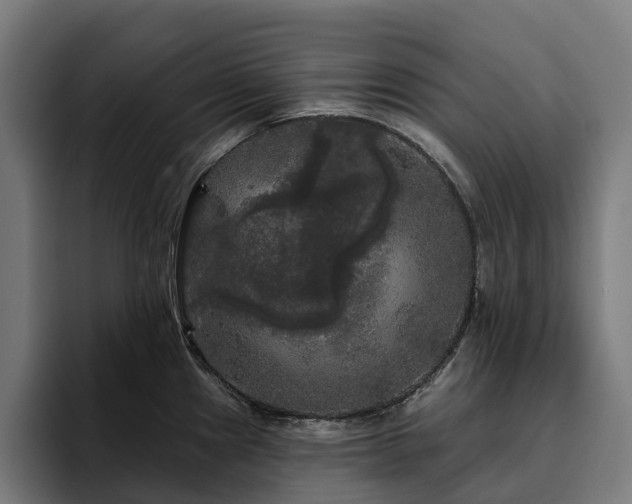 X0000094811241200711161501