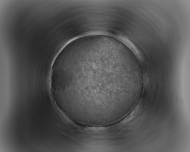 X0000094811244200711161501
