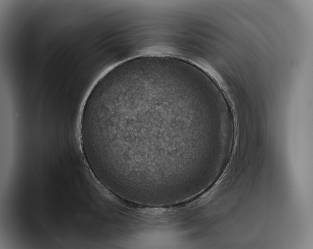 X0000094811248200711161501