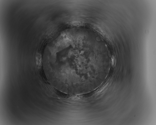 X0000094811251200711161500