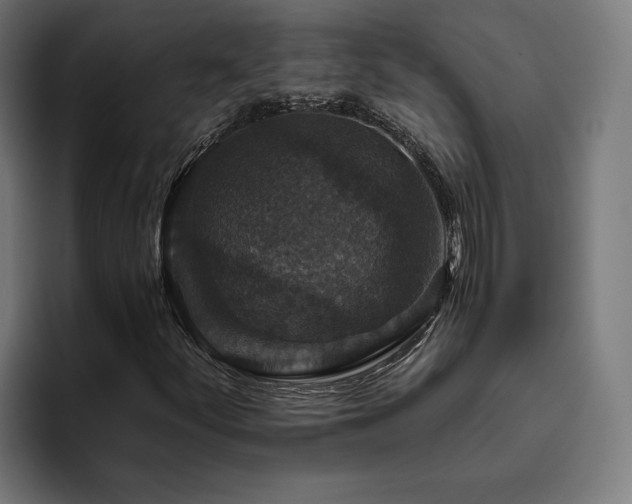 X0000094811252200711161500