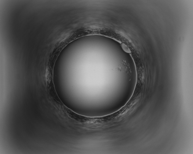 X0000094811253200711161500