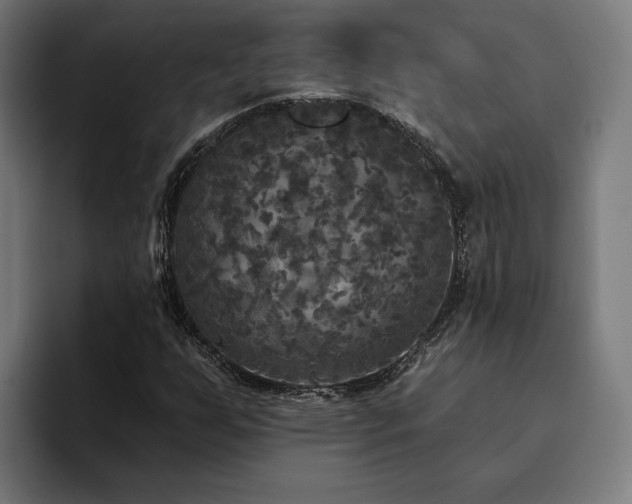 X0000094811255200711161500