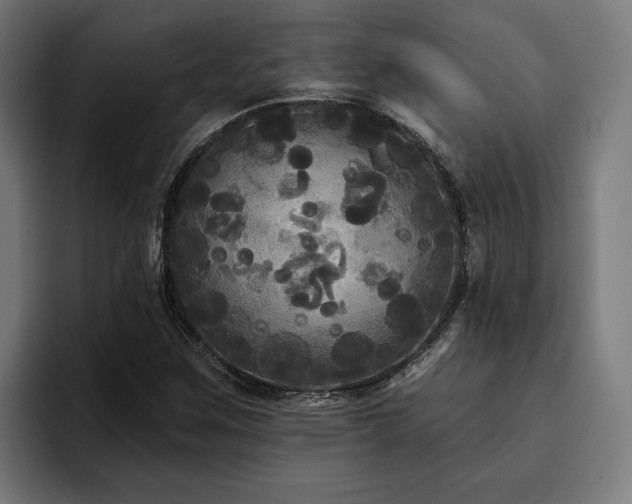 X0000094811259200711161500