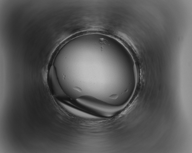 X0000094811260200711161500