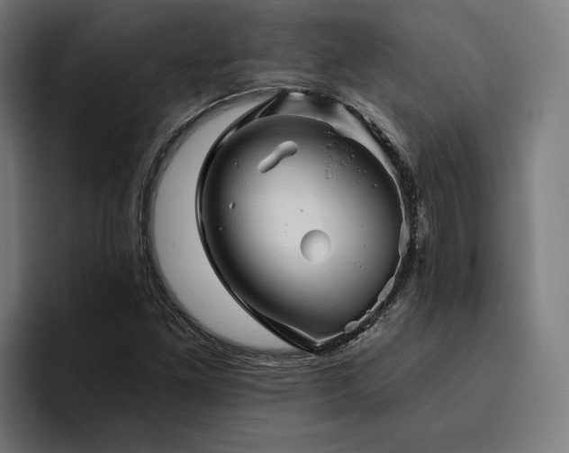 X0000094811261200711161500