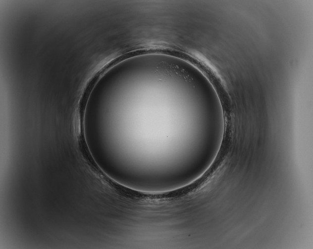 X0000094811269200711161500